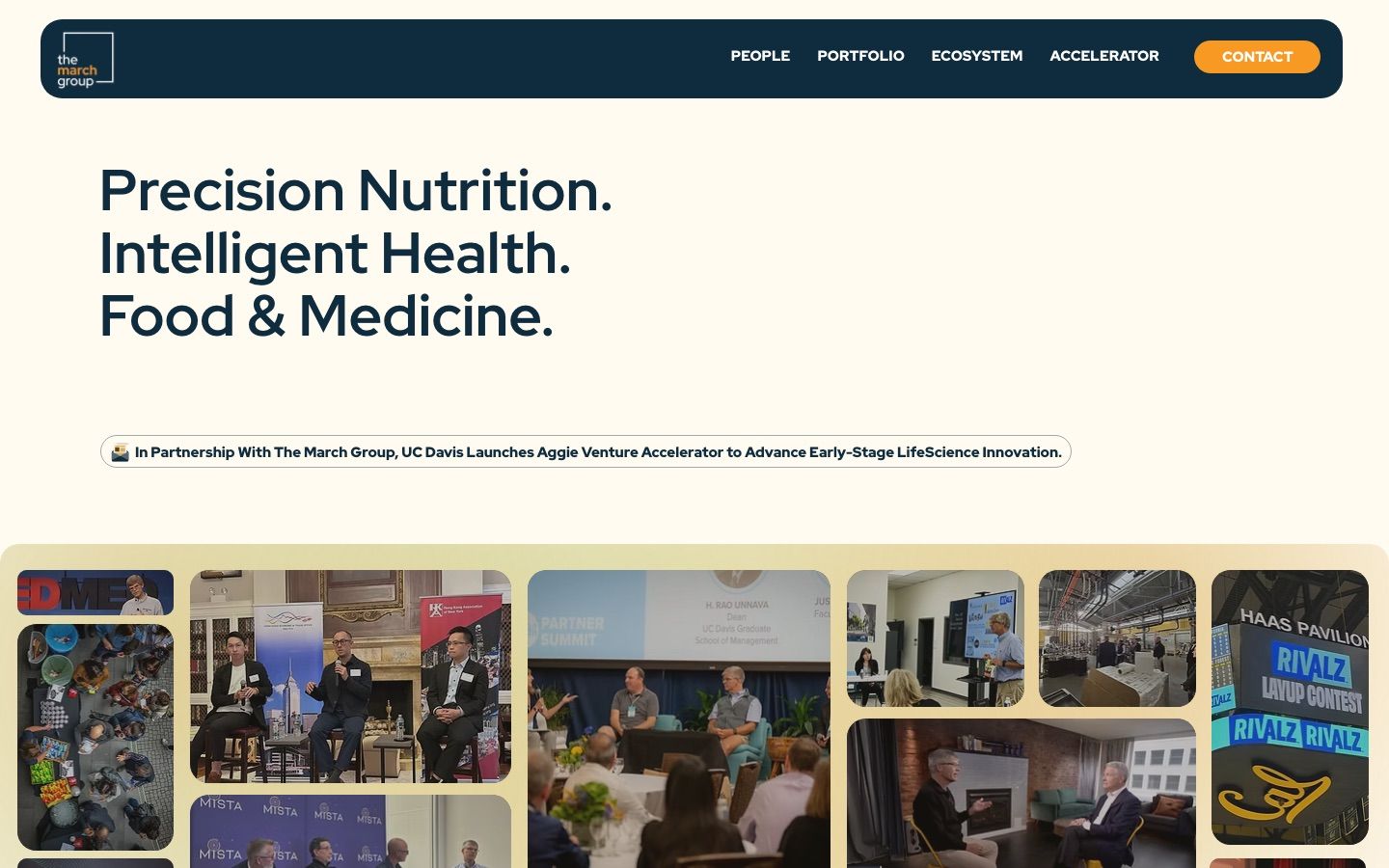 The March Group website homepage, with an ecosystem diagram on a cream background
